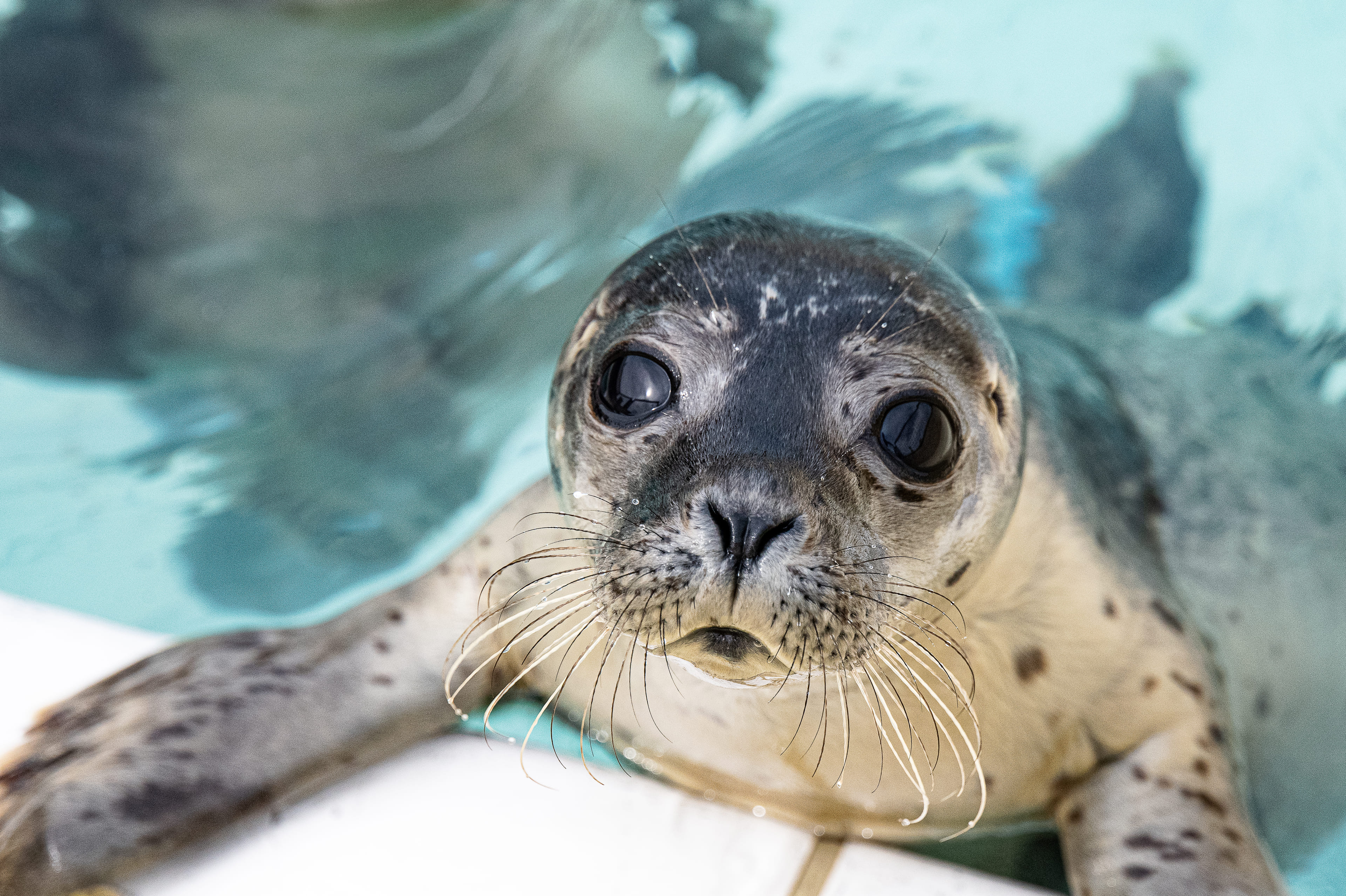 Generieke afbeelding voor image content