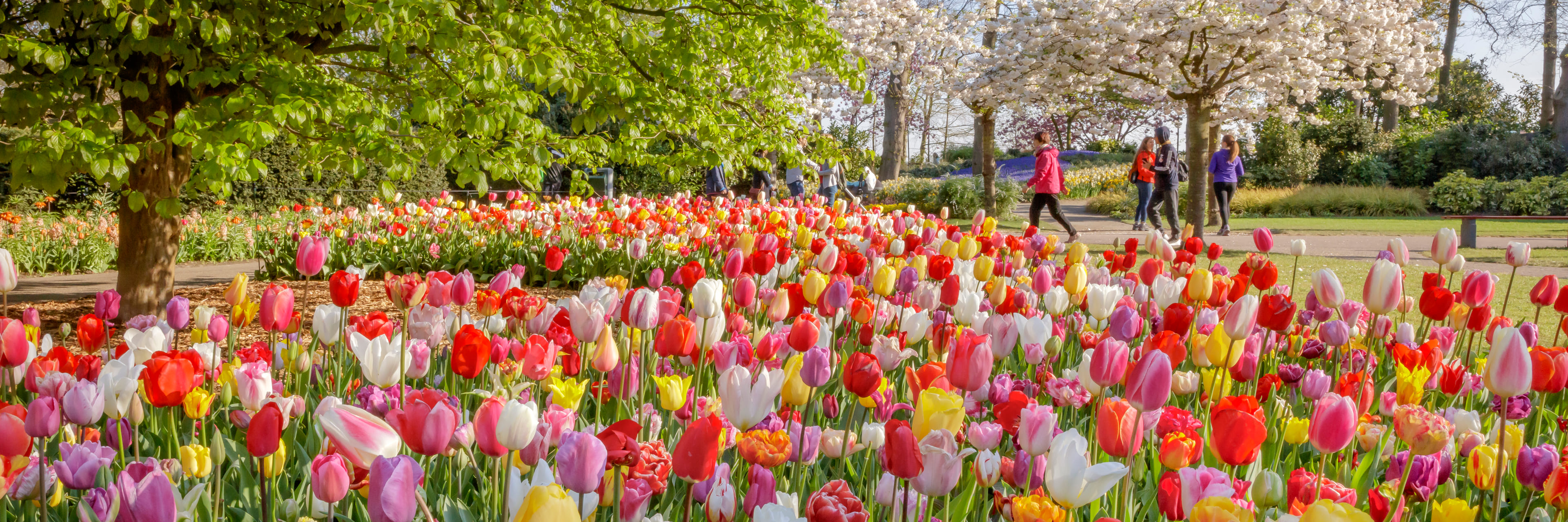 Generieke afbeelding van de achtergrond afbeelding